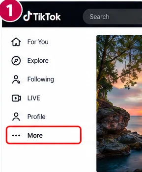 Illustrative TikTok interface for desktop, step 1; actual interface may differ