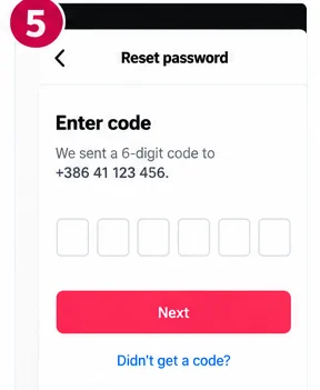 Illustrative TikTok interface for desktop, step 5; actual interface may differ