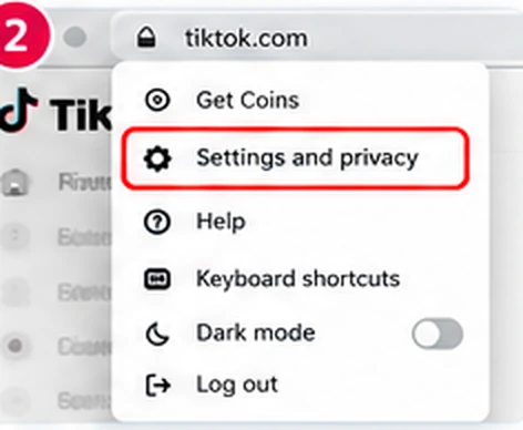 Illustrative TikTok interface for desktop, step 2; actual interface may differ